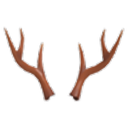 Reindeer Antlers